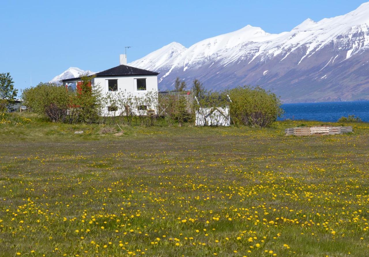 L&L Bnb - Stay'In Arbakki Arskogssandur Exterior photo