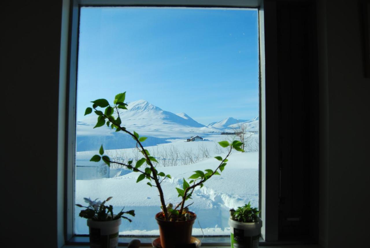 L&L Bnb - Stay'In Arbakki Arskogssandur Exterior photo